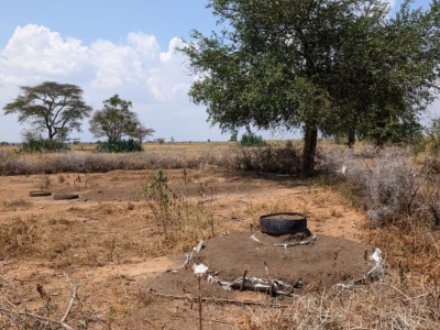 A garden in Karamoja which has dried up because of the drought