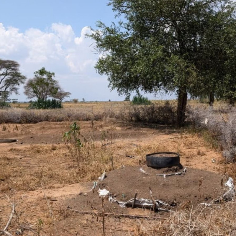 A garden in Karamoja which has dried up because of the drought